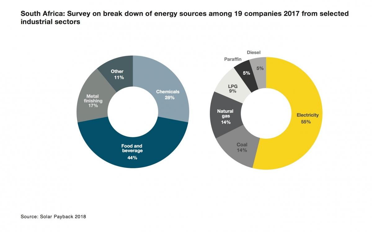 South Africa; Survey on break down of energy sources among selected industrial sectors